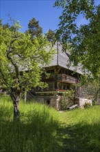 Traditionally built, old Black Forest house, Haldenhof, built around 1669, original location: