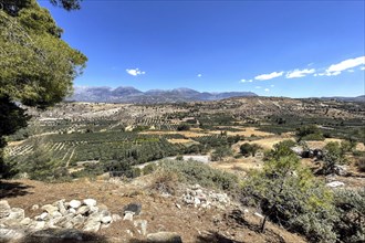 View from hill palace hill of Phaistos to fertile Messara plain plain of Messara with many olive