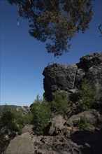 Grandfather Rock, part of the Devil's Wall, Blankenburg, Saxony-Anhalt, Germany, Europe