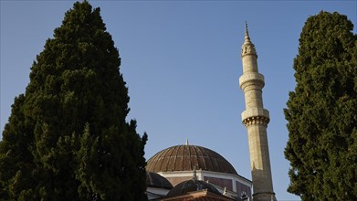 Suleiman Mosque, mosque with large dome and minaret, surrounded by tall trees under a clear blue