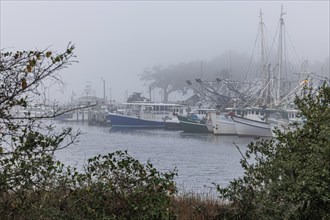 Commercial fishing boats in the harbor at Ocean Springs, Mississippi on a foggy morning, United