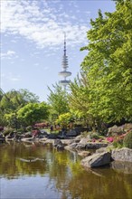 Japanese garden in the Planten un Blomen park with Hamburg television tower and park pond in