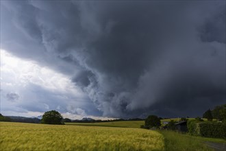A thunderstorm cell moves over Porschdorf in Saxon Switzerland, thunderstorm, Porschdorf, Saxony,