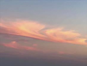 High clouds illuminated reddish red by the evening sun Cloud layer Veil clouds Feather clouds