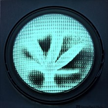 Green traffic light with a hemp leaf, legalisation, cannabis law, symbolic photo, Dortmund, Ruhr