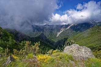 Mountain panorama from Passo Croce in the Garfagnana mountain landscape to the cloudy peaks of the