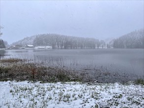 Snowfall at Spitzingsee, Bavaria, Germany, Europe