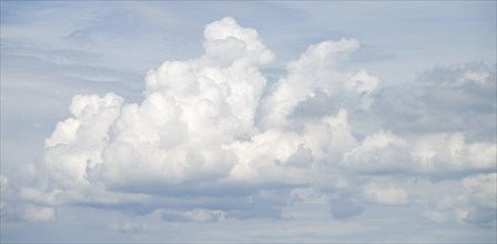 Large white cumulus cloud (cumulus)