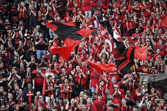 Fan curve, fan block, many fans in red, atmospheric, Bayer 04 Leverkusen, 81st DFB Cup Final 2024,