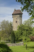 Sponeck Castle, Jechtingen, Sasbach am Kaiserstuhl, Baden-Wuerttemberg, Germany, Europe