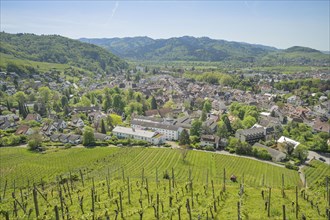 Vineyards, town view, Staufen im Breisgau, Baden-Wuerttemberg, Germany, Europe
