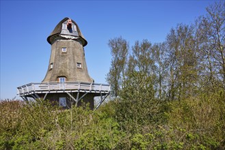 Historic windmill without sails in Garding parish, North Friesland district, Schleswig-Holstein,
