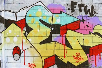 Barcelona, Catalonia, Spain, Europe, Stylish and colourful graffiti on a brick wall with a wild