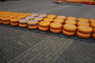 Beemster cheese on display at a Friday market. Alkmaar, Netherlands