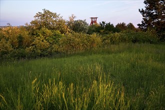 Pluto spoil tip with vegetation and the double trestle above shaft 3 of Pluto colliery, Herne, Ruhr