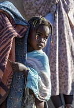 Hakaona girl with traditional hair jewellery, in the morning light, Angolan tribe of the Hakaona,