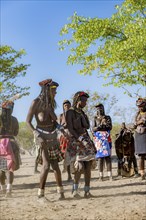 Hakaona woman with traditional kapapo hairstyle, clapping and dancing, Angolan tribe of the