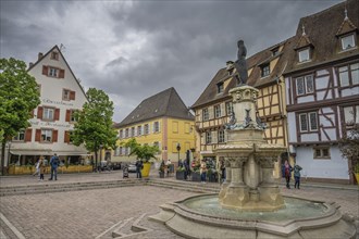 Roesselmann Fountain, Pl. des 6 Montagnes Noires, Old Town, Colmar, Alsace, France, Europe