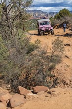 Pink jeep from Pink Jeep Tours passes hikers along the rough road used by off-road vehicles in