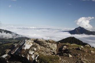 On the Hornergruppe with a view of the Grünten