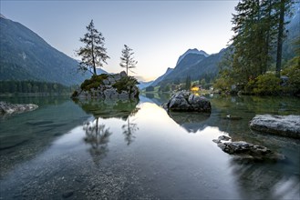 Rocky island with two trees in the lake, reflection in Hintersee, at sunset, Berchtesgaden National