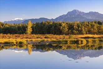 Schonramer Filz, a raised bog near Traunstein, Bavaria in the evening light