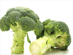 Broccoli, one standing, one laying down, towards white background