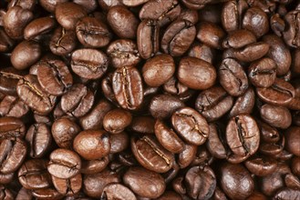 Background of roasted arabica coffee beans