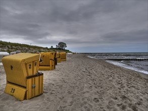 Yellow beach chairs along a cloudy beach with a view of the sea, ahrenshoop, zingst, Baltic Sea,