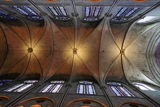 Ceiling view, Notre-Dame de Paris Cathedral, Ille de la Cité, 4th arrondissement, Paris, France,