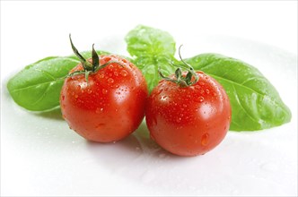 Fresh basil and tomatoes on a white dish