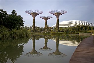 Gardens by the Bay, Singapore, Asia