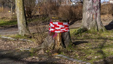 Tree trunk wrapped with safety tape, Berlin, Germany, Berlin, Berlin, Germany, Europe