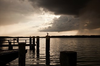Evening sunset on a pier at Lake Werbellin