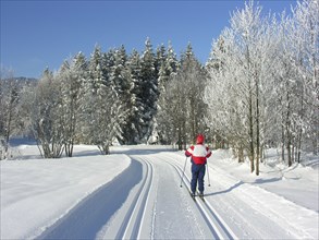 Elderly man cross-country skiing in Upper Bavaria