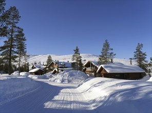 From Wikipedia: Levi is the largest and best-known winter sports centre in Finland and has been