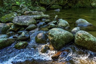 Small lake and waterfall with transparent waters inside the rainforest of Ilhabela, Ilhabela, Sao