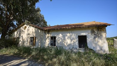 Abandoned house with crumbling walls and partially collapsed roof, surrounded by nature and with