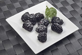 Blackberries on a white plate with a peppermint leaf