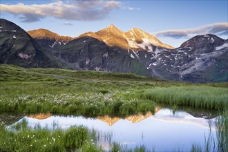 Cotton grass with mountain panorama and reflection, snow, Grossglockner High Alpine Road, Hohe