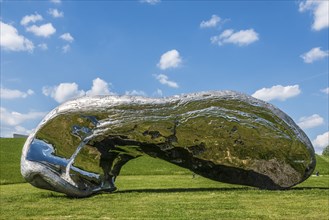 Würth Museum 2, Sculpture Marc Quinn, Gaisbach, Künzelsau, Baden-Württemberg, Germany, Europe