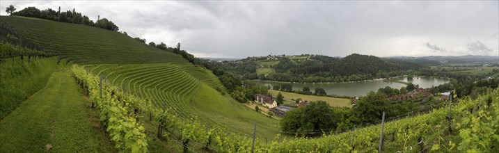 Thunderclouds over vineyard, Silberberg, Sulmsee, panoramic view, near Leibnitz, Styria, Austria,