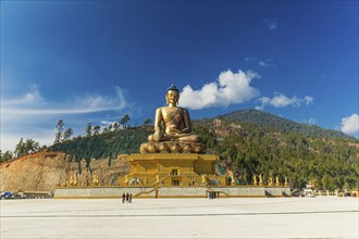 169 feet tall bronze Buddha statue shining bright in the daytime