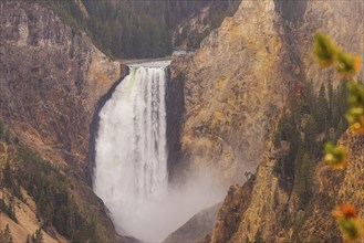 Lower falls of the yellowstone national park from artist point shot with a long lens