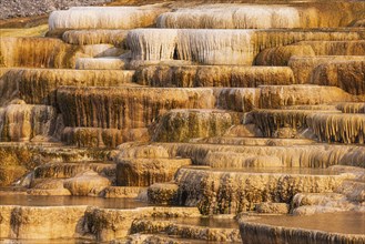 Canary spring terrace are formed by hot water
