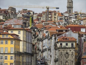 City scene with closely lined up buildings, church tower and crane in the background, Porto, Douro,
