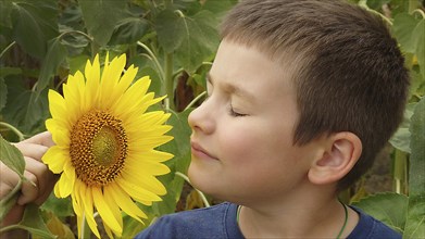 A boy smiling with closed eyes in front of a large sunflower (Helianthus) with a green background