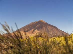 Teide Volcano on a Sunny day with blue sky