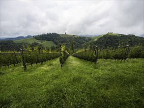 Thunderclouds, hilly landscape, vineyard, view from Kogelberg near Leibnitz, Styria, Austria,