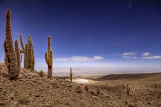 Arid landscape at the Valley of the Moon in Chile